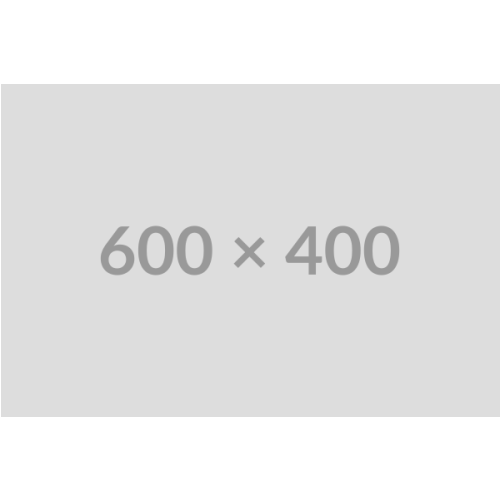 Human Hair Full Lace Pencil Size Dreadlocs Wig